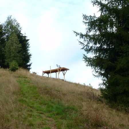 Ein Platz Fuer Ruhe Und Naturgenuss Sebnitz Εξωτερικό φωτογραφία