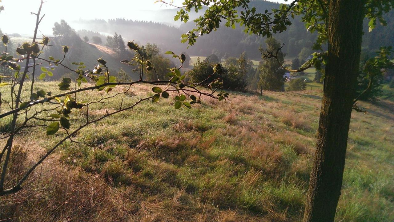 Ein Platz Fuer Ruhe Und Naturgenuss Sebnitz Εξωτερικό φωτογραφία