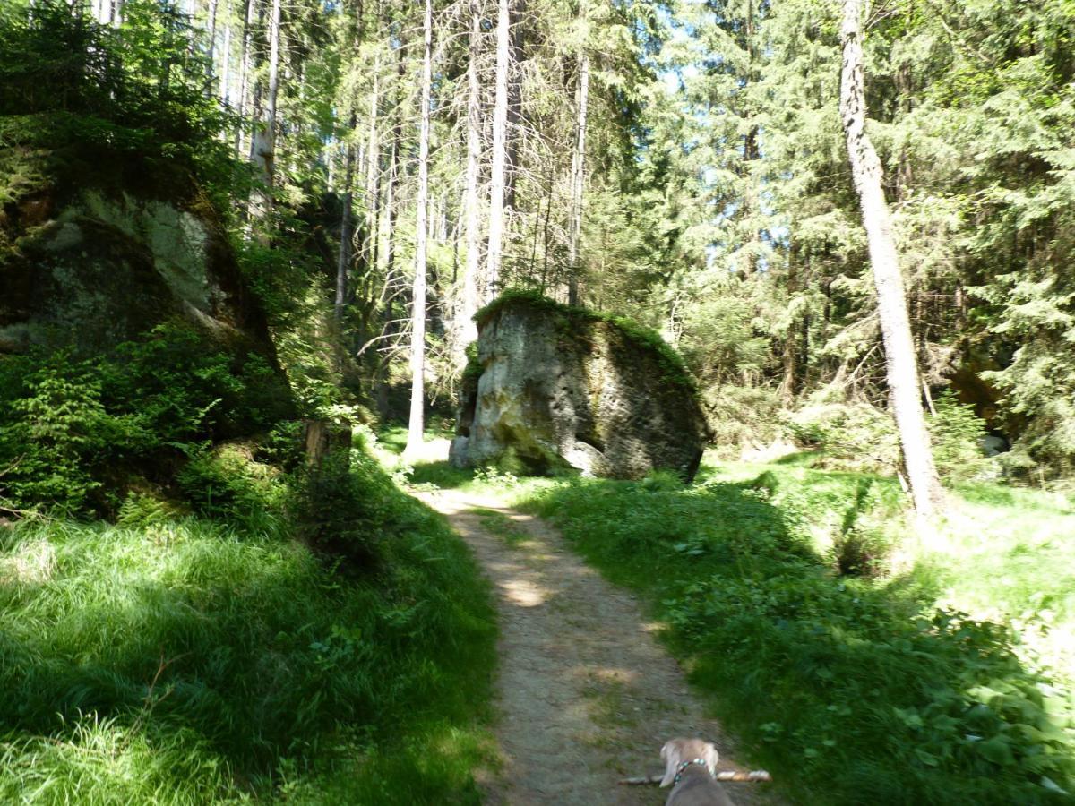 Ein Platz Fuer Ruhe Und Naturgenuss Sebnitz Εξωτερικό φωτογραφία