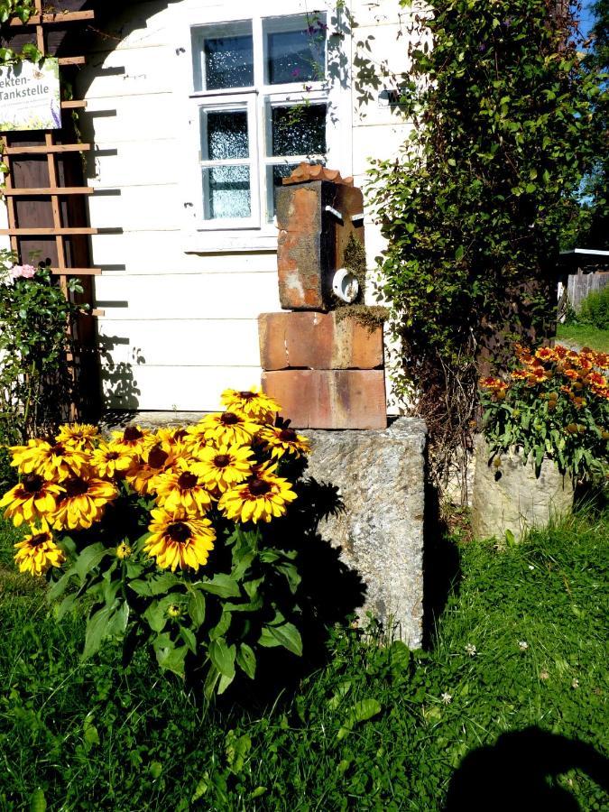 Ein Platz Fuer Ruhe Und Naturgenuss Sebnitz Εξωτερικό φωτογραφία