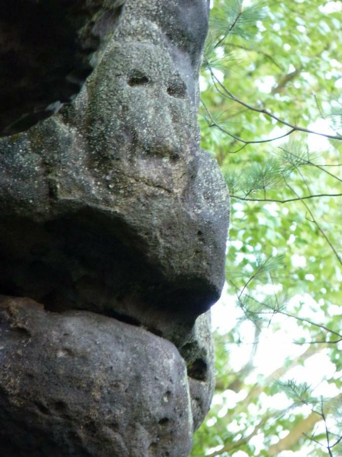 Ein Platz Fuer Ruhe Und Naturgenuss Sebnitz Εξωτερικό φωτογραφία