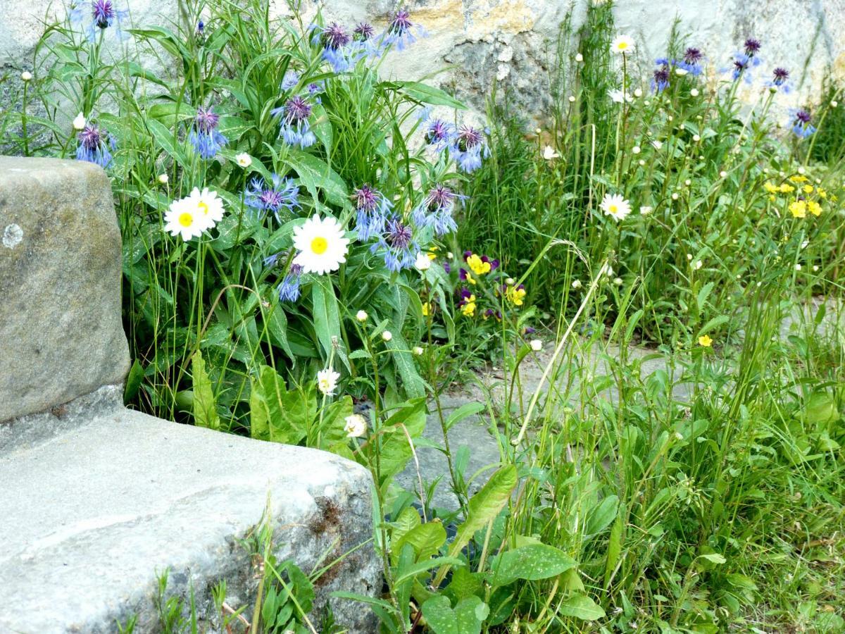Ein Platz Fuer Ruhe Und Naturgenuss Sebnitz Εξωτερικό φωτογραφία